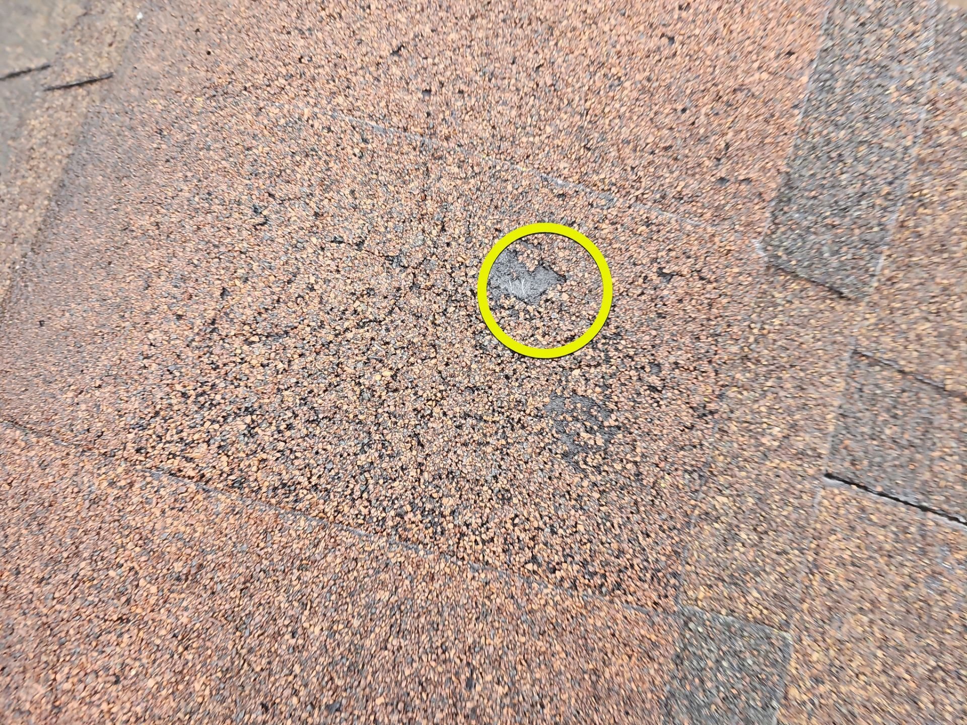 Shingle roof with hail damage in Lakeville Indiana