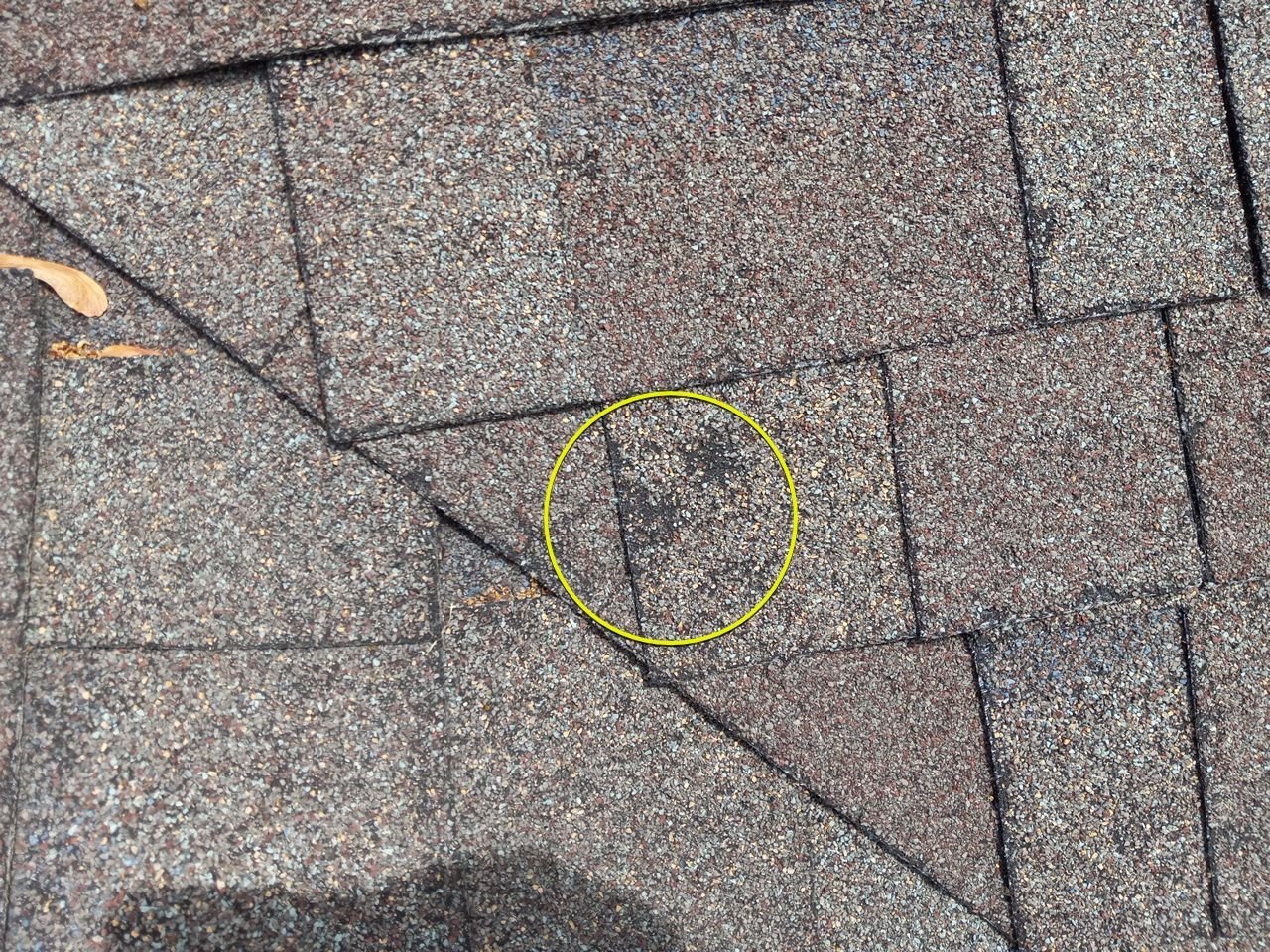 Hail damage on roof in Middlebury, Indiana